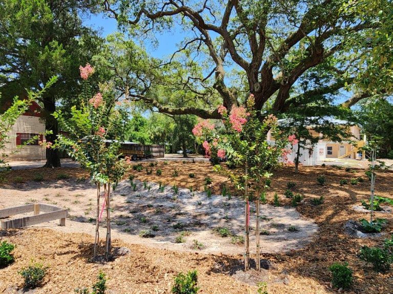 Scouts, Master Gardeners, Community Volunteers Come Together on Patriot Place Landscaping Project